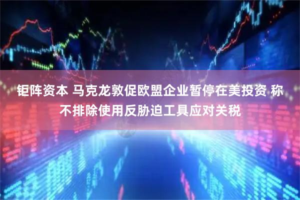 钜阵资本 马克龙敦促欧盟企业暂停在美投资 称不排除使用反胁迫工具应对关税