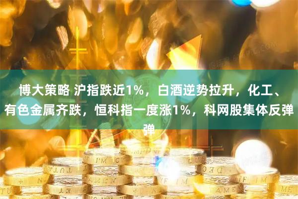 博大策略 沪指跌近1%，白酒逆势拉升，化工、有色金属齐跌，恒科指一度涨1%，科网股集体反弹